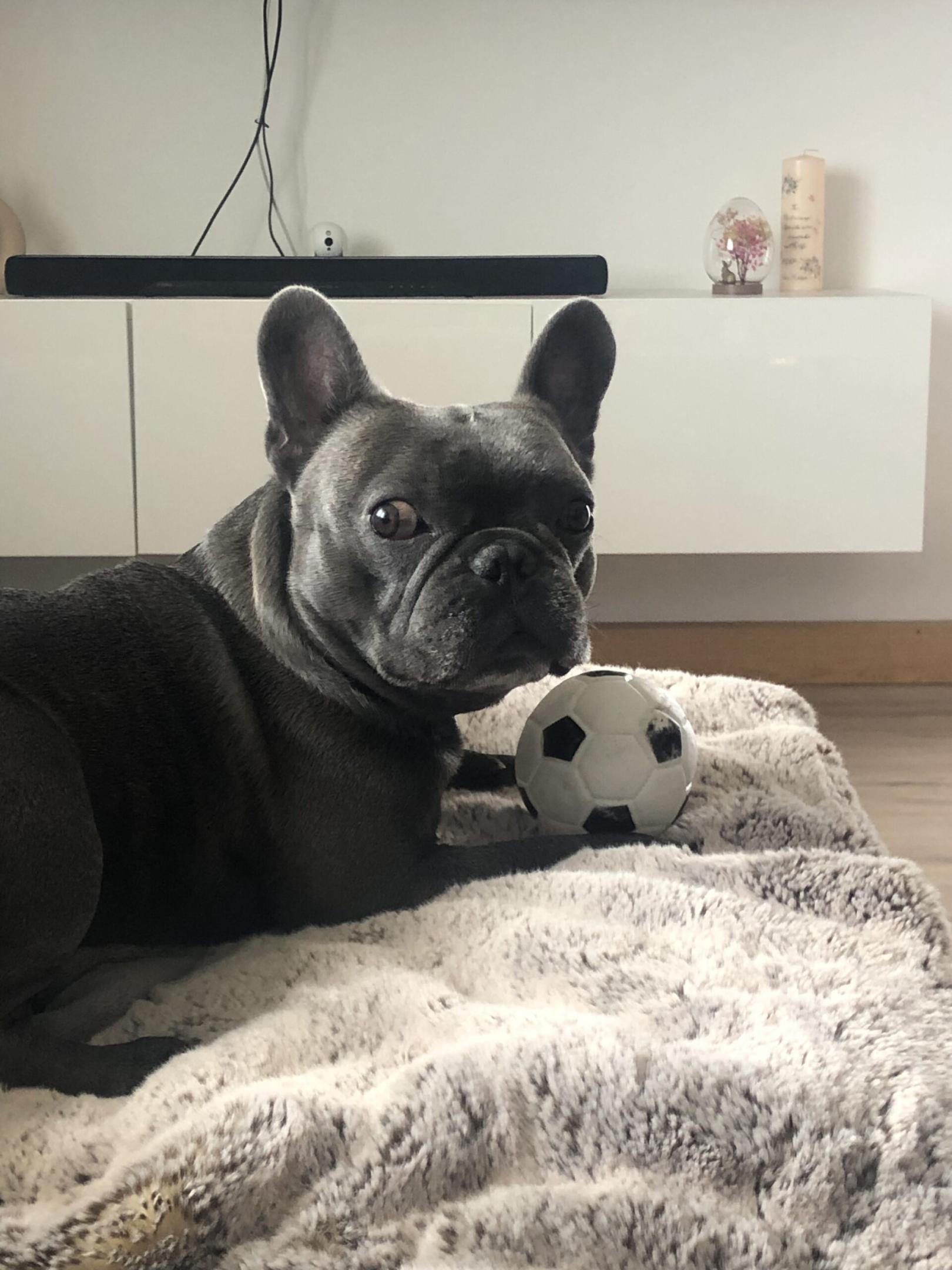 Ich werde gesucht