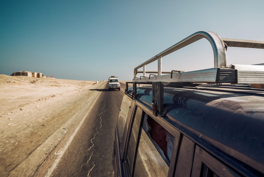 safari-4652364_1280