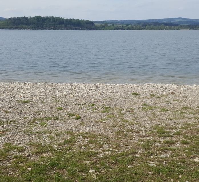 Ich werde gesucht